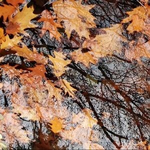 Meet your Posher, Maritza